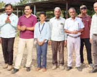 Sikar News: डेरा सच्चा सौदा सीकर के सेवादारों की गौ माता सार-संभाल