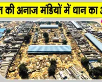 PR Paddy News: कैथल की अनाज मंडियों में बढ़ा धान का दबाव, धीमे उठान से किसानों की बढ़ी परेशानी