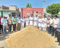 Paddy Price: 1509 धान की निजी खरीद शुरु, जाने कितना लगा भाव ?