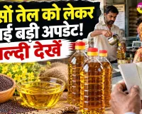 Sarson Tel Scheme: सरसों तेल को लेकर आई बड़ी अपडेट! इस हिसाब से मिलेगा अब सरसों का तेल