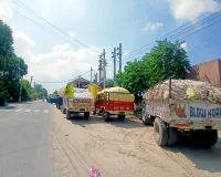 Cotton MSP: नरमा खरीद की रफ्तार तेज से किसानों के चहरे खिले