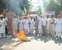 Farmer Protests: धान खरीद को लेकर भड़के रोड़ी व कालांवाली के किसान, धरना-प्रदर्शन कर फूंका सरकार का पुतला
