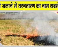 Stubble Burning: पराली जलाने के मामले में तरनतारन सबसे आगे, पंजाब में 1,007 मामले दर्ज