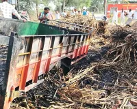 शॉर्ट सर्किट से ट्रैक्टर-ट्रॉली में लगी आग, नया ट्रैक्टर और चारा जलकर राख