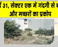 वर्षों से खाली प्लॉट बना परेशानी, कचरे और झाड़ियों से आसपास के लोग परेशान 