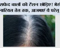 White Hair Home Remedies: सफेद बालों की टेंशन छोड़िए! मेहंदी से नारियल तेल तक, आजमाएं ये घरेलू उपाय