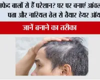 White Hair:  सफेद बालों से हैं परेशान? घर पर बनाएं आंवला, करी पत्ता और नारियल तेल से तैयार हेयर ऑयल, जानें बनाने का तरीका