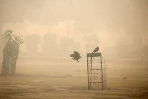 वातावरण में फैला धुआं घोषित हो राष्ट्रीय आपदा