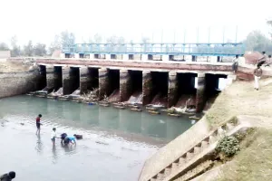 किशोर-किशोरी ने नहर में लगाई छलांग