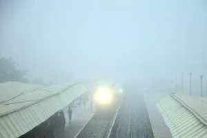 कोहरे में लिपटा राजस्थान, ठंड बढ़ी