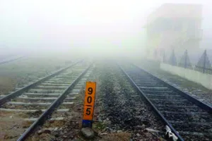 शीतलहर ने छुड़ाई लोगों की कंपकंपी