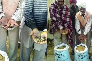 दो रूपए किलो की खेप सड़ी हुई निकली