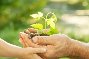 सहजता से स्वीकारें हर बदलाव को