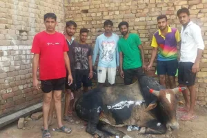दीनदुखियों का सहारा हैं ग्रीन एस के सेवादार