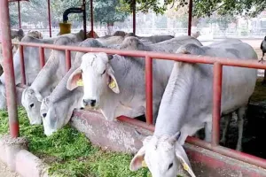 केंद्र सरकार के नोटिफिकेशन का विरोध
