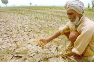 कृषि संकट के लिए सरकार व किसान गंभीर होें