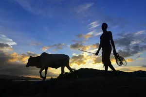 अन्नदाता कब तक बना रहेगा केवल मतदाता
