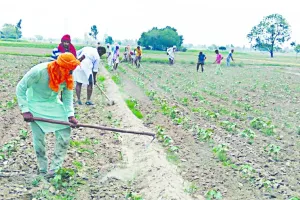 खेता सिंह को अब नहीं खेती की चिंता