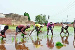 अब इन्द्र देव के भरोसे किसान