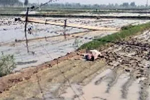 गांव भगवतीपुर में करंट से महिला की मौत