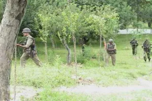कश्मीर: त्राल एनकाउंटर में 3 आतंकी मारे गए