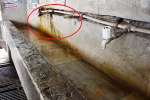नया बस स्टैंड बना सपना, पुराने की संभाल नहीं