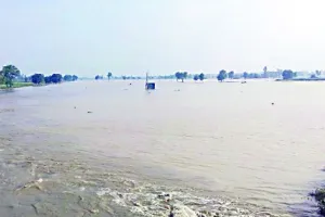मदन हेड़ी के पास सुंदर ब्राच नहर टूटी