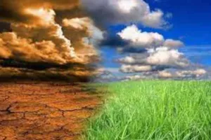 जलवायु परिवर्तन के खिलाफ लड़ाई में ‘भारत’ अग्रणी