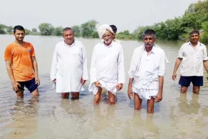 पौली में बरसाती पानी की मार, 200 एकड़ में फसलें डूबी