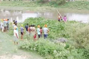 ड्रेन में तेज पानी में बही 64 भैंसे