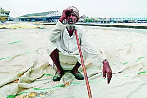 बरसात से हजारों एकड़ धान की फसल डूबी