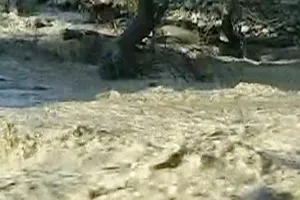 भारी बारिश के चलते अचानक आई बाढ़, 8 लोगों की मौत