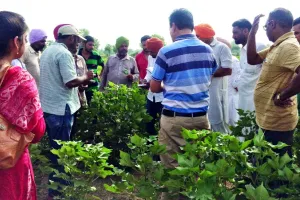 किसानों को जैैविक कृषि से जोड़ रहा थर्मल प्लांट