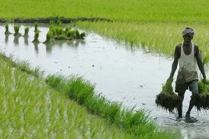 एसवाईएल मुद्दा: सुप्रीम कोर्ट जाएंगे किसान