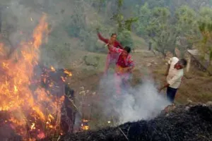 आग की लपटों से घिरा जंगल, बेजुबानों पर संकट