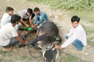 बेजुबानोंं की जान बचाता है यह ‘इन्सान’