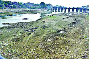 सरकार लापरवाह, सूख रहे नदियां-नाले : भूपेन्द्र