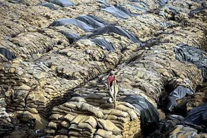 भूख से मौत और अन्न की बर्बादी