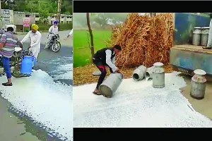 किसानों ने सब्जियां व दूध फैंककर जताया रोष
