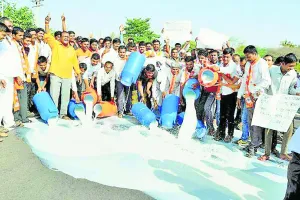 सड़कों पर बहाया दूध, फैंकी सब्जियां