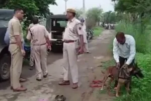 राजस्थान: गो तस्करी के शक में व्यक्ति की पीटकर हत्या