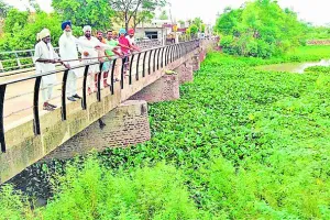 ड्रेन की जल्द सफाई न की तो हो सकता बड़ा नुक्सान: सरपंच