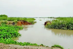 सेमनाले में 40 फुट का कटाव आने से सैंकड़ों एकड़ भूमि में भरा पानी
