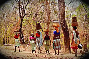 भारत में आदिवासी उपेक्षित क्यों है?