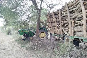 पेड़ से टकराया लकड़ियों से लदा ट्रेक्टर-रेहड़ा