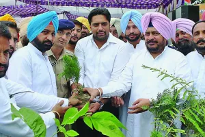 पंजाब राज्य में लगाए जाएंगे 2 करोड़ पौधे: वन मंत्री