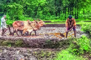 अन्नदाता की आय सुरक्षित करने की सार्थक पहल