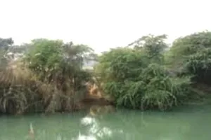 एसवाईएल पर रार। फायदा लेने की फिराक में पंजाब, हरियाणा रह गया पीछे