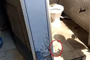 राजस्थान की राजधानी जयपुर में मासूम बच्चे की हत्या