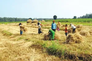 कृषि के लिए संतुलित नीतियों की आवश्यकता